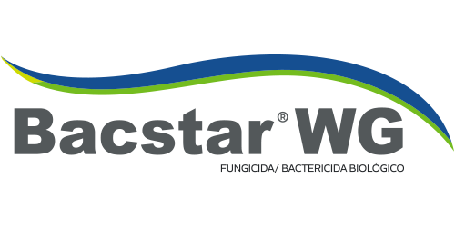 Bactsar WG