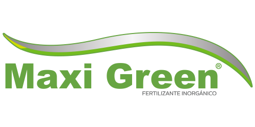 Maxi Green