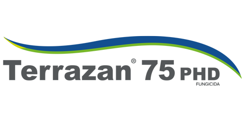 TERRAZAN 75 PHD