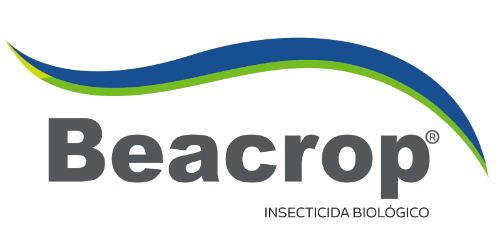 BEACROP